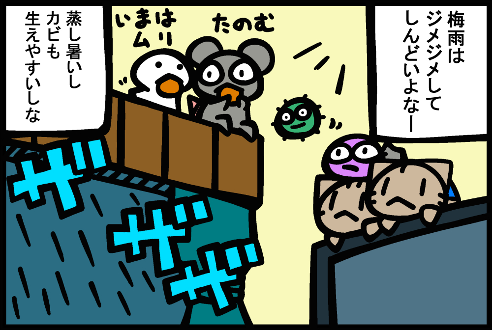 1177-4.jpg