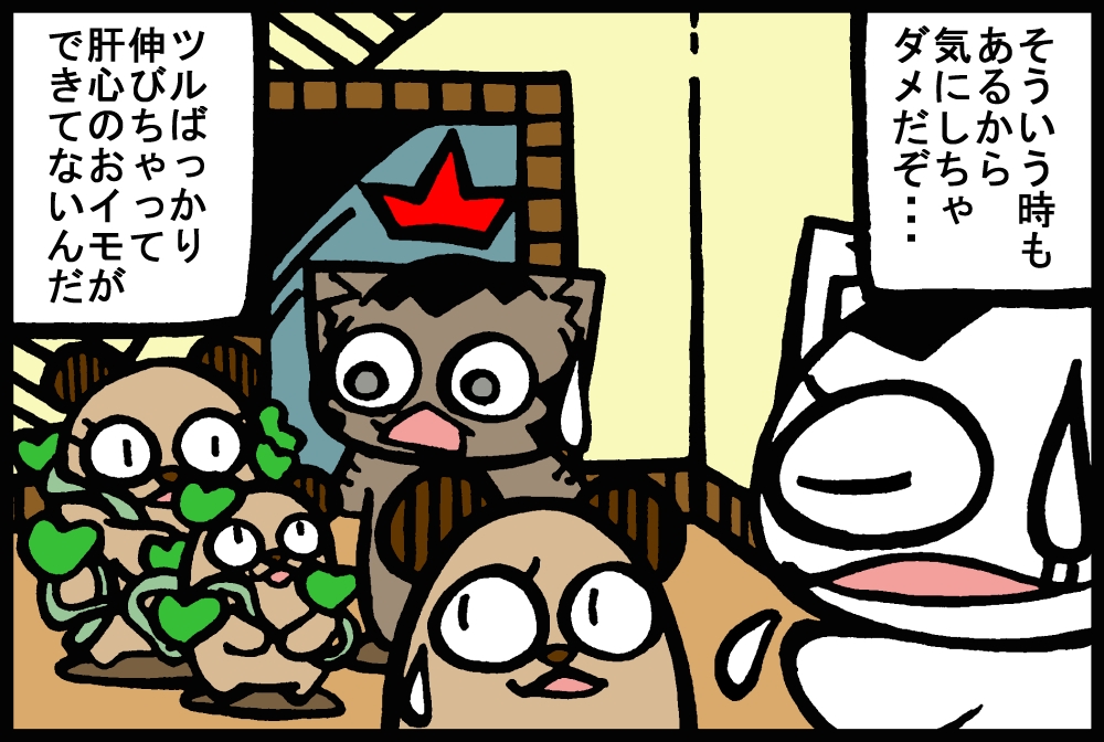 900-1.jpg