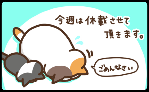 catfukei_news.jpg