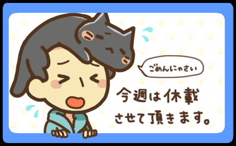catfukei_news.jpg