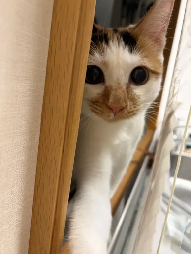 025-12-02 063152.jpg