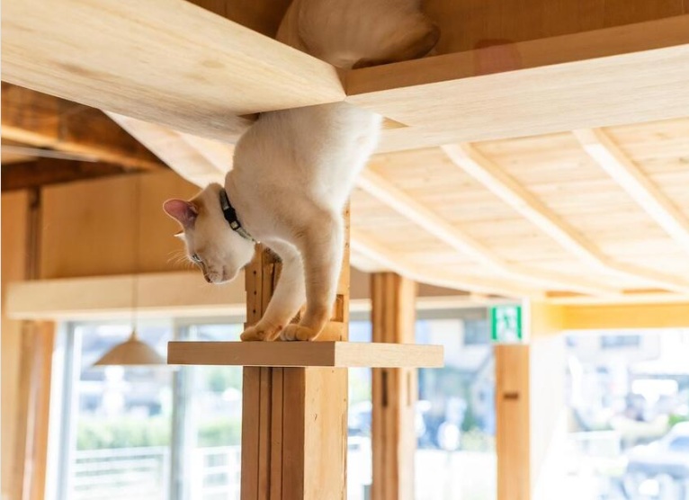 026-01-31 092849.jpg