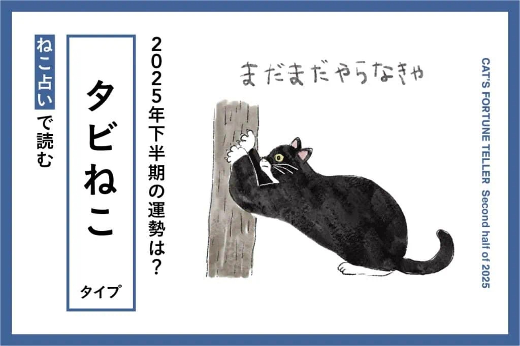 neko_2025_2nd_11-1024x683.jpg
