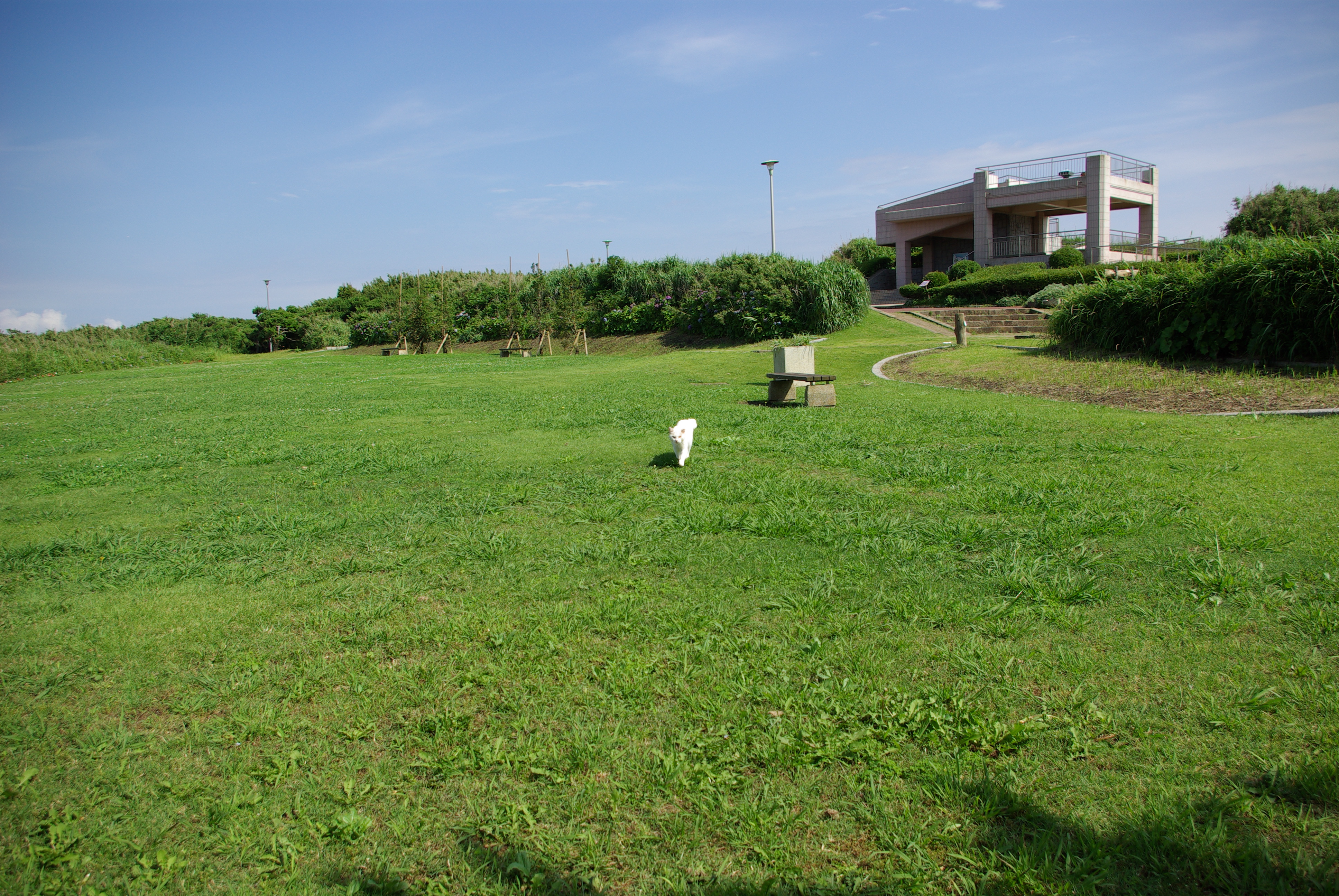 IMGP0198.JPG