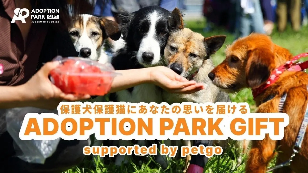 option_park_gift_petgo.jpg