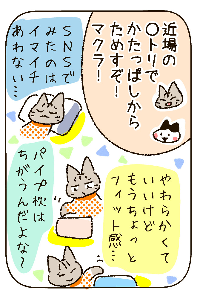 250120_3.jpg