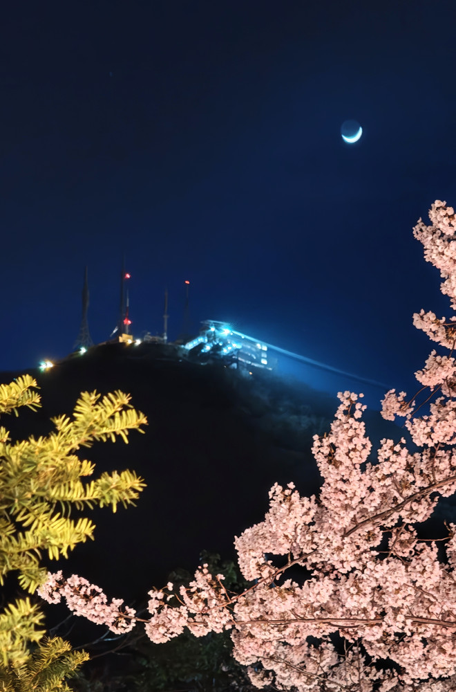 250519-5.jpg