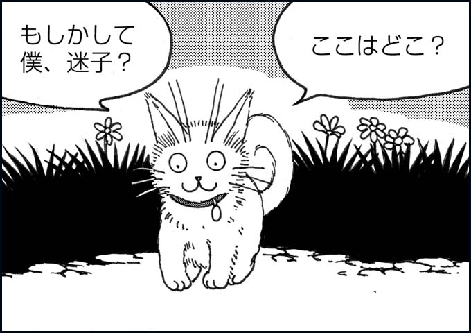 mono_10_01.jpg
