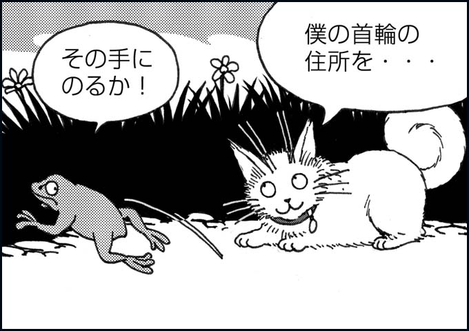 mono_10_04.jpg