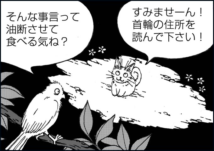 mono_10_06.jpg