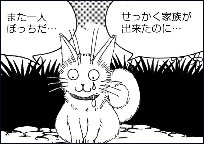 mono_10_08.jpg