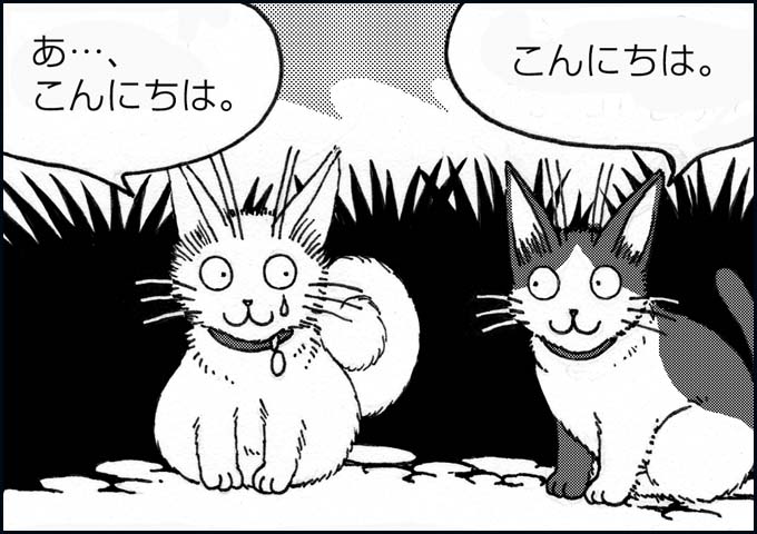 mono_11_01.jpg