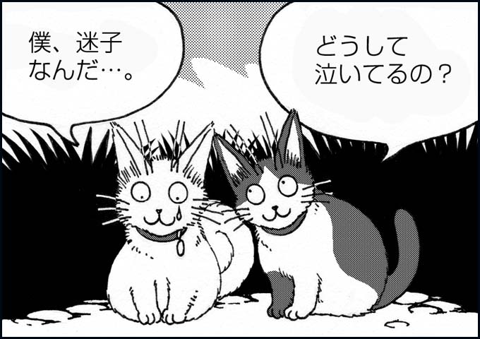 mono_11_02.jpg