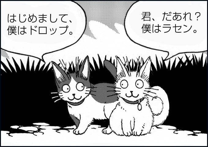 mono_11_03.jpg