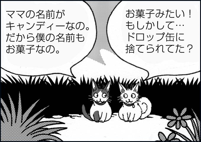 mono_11_04.jpg