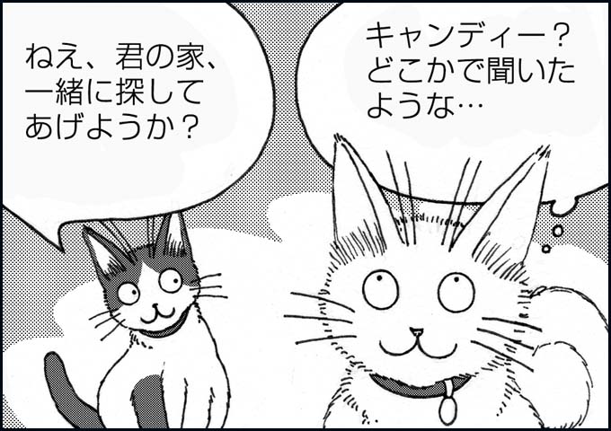 mono_11_05.jpg