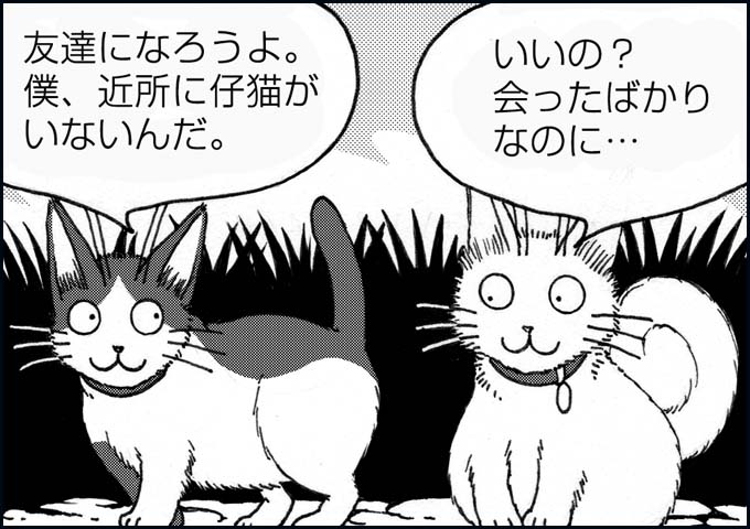 mono_11_06.jpg