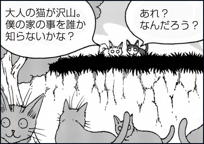 mono_11_08.jpg