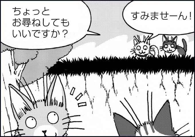 mono_12_01.jpg
