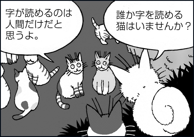 mono_12_02.jpg