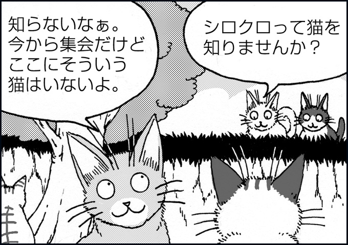 mono_12_03.jpg
