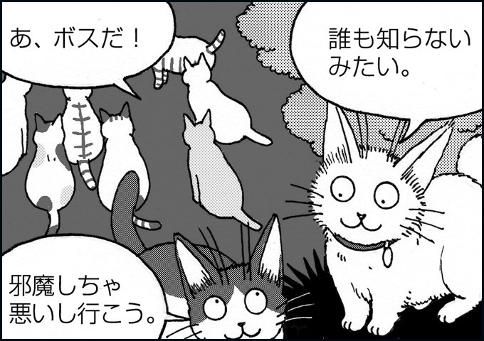 mono_12_04.jpg