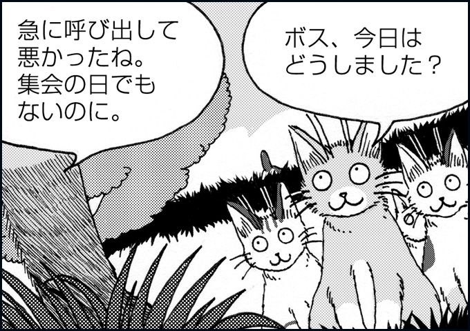 mono_12_05.jpg