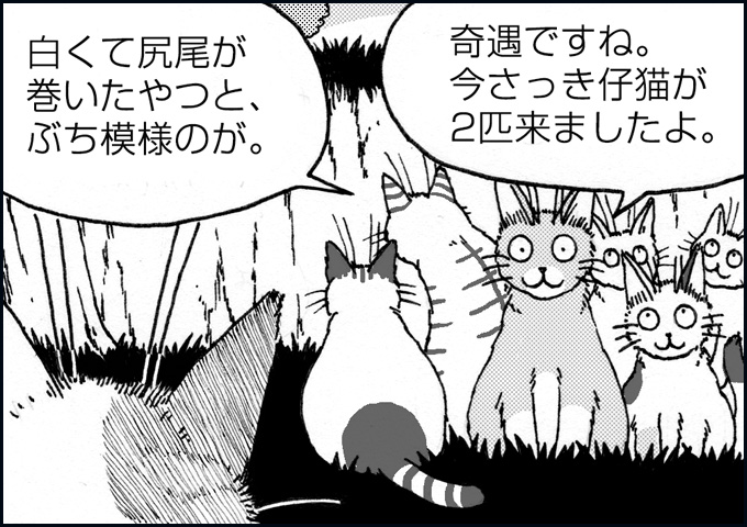 mono_12_07.jpg