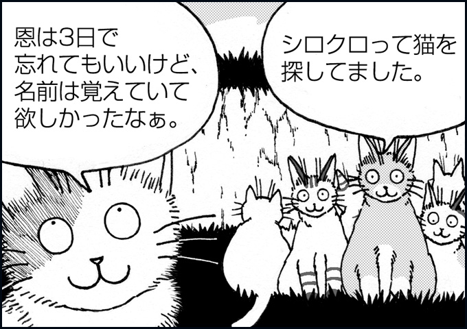 mono_12_08.jpg