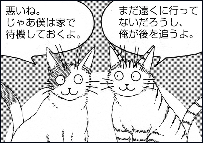 mono_13_01.jpg