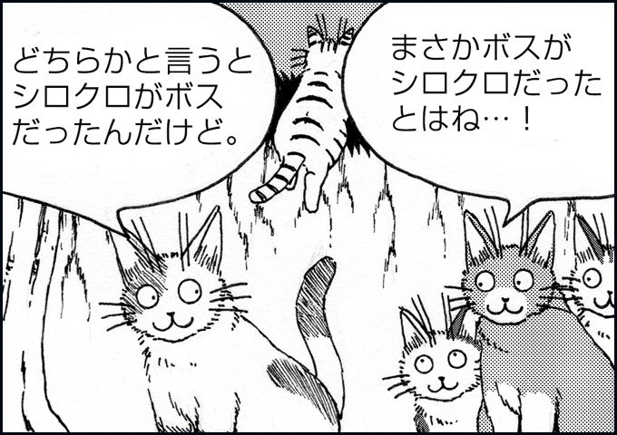 mono_13_02.jpg