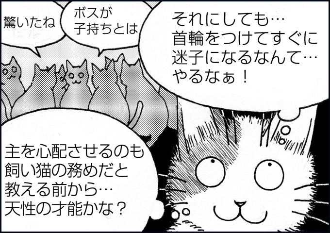 mono_13_04.jpg