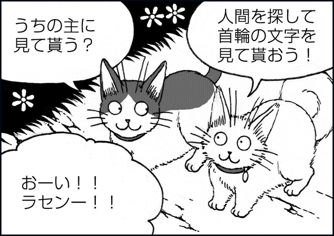 mono_13_05.jpg