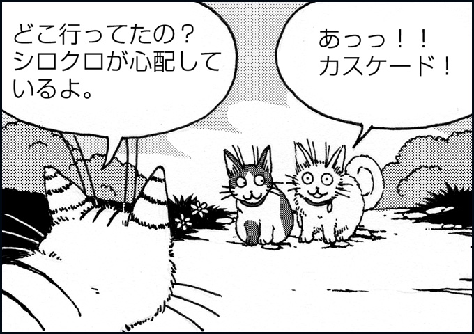 mono_13_06.jpg