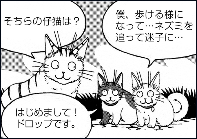 mono_13_07.jpg