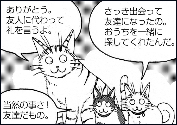mono_13_08.jpg
