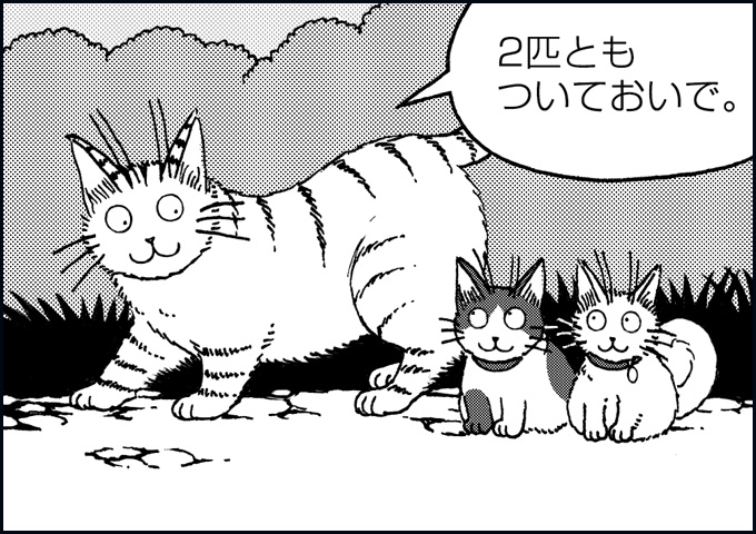 mono_14_01.jpg