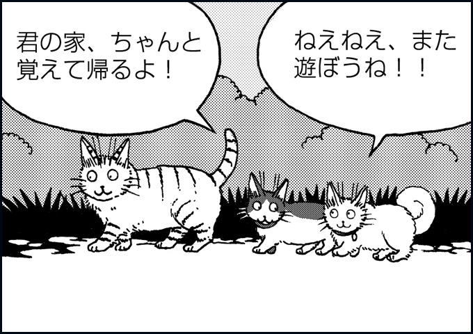 mono_14_02.jpg