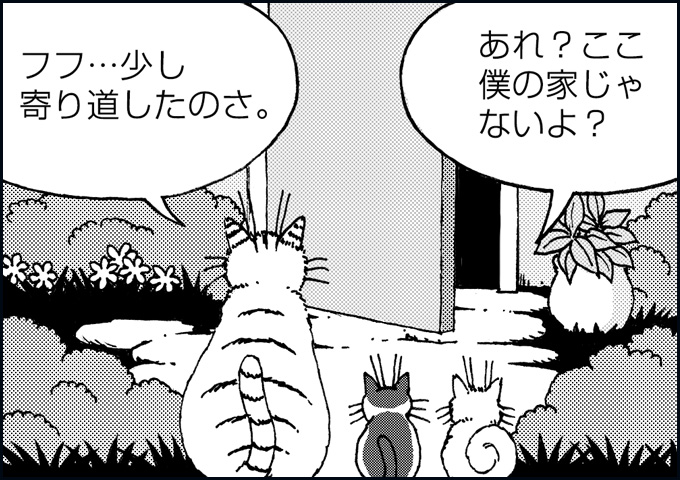 mono_14_03.jpg