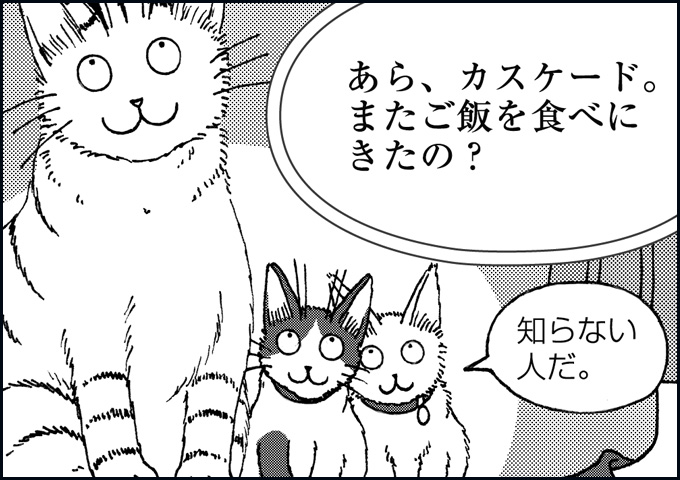 mono_14_04.jpg