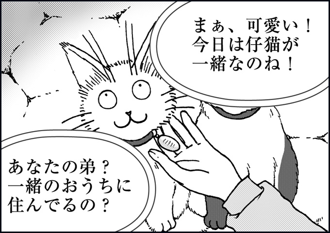 mono_14_05.jpg