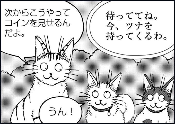 mono_14_06.jpg