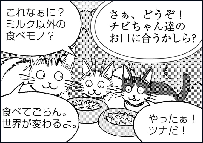 mono_14_07.jpg