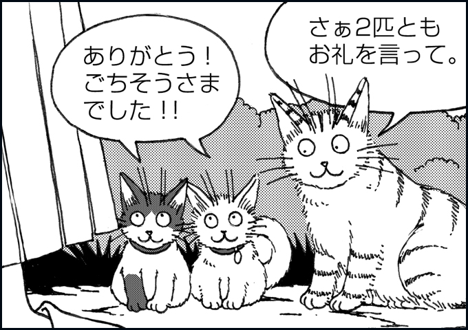 mono_15_01.jpg