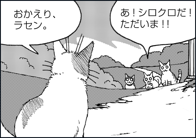 mono_15_04.jpg