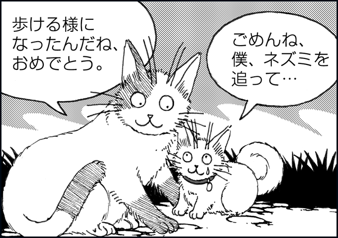 mono_15_05.jpg