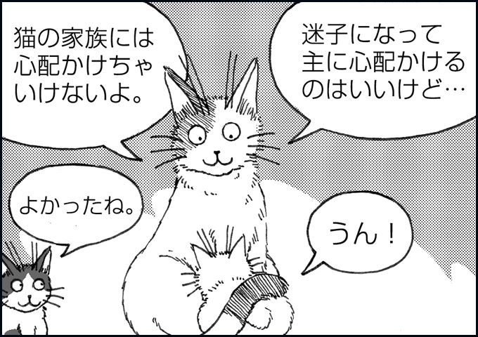 mono_15_06.jpg