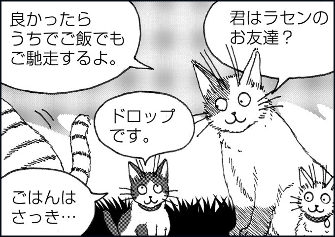 mono_15_07.jpg