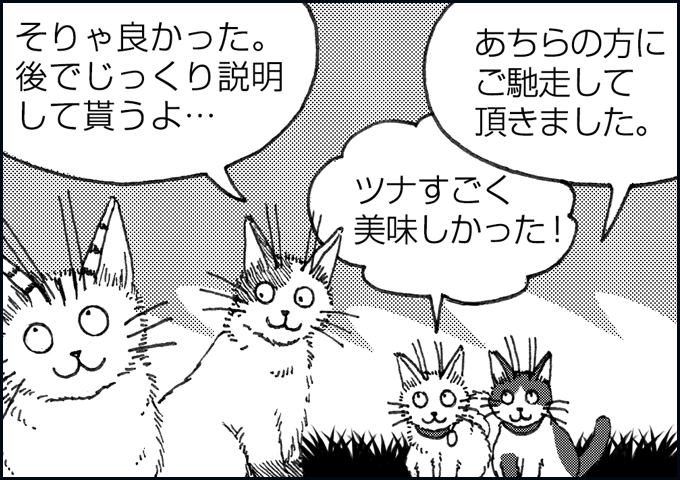 mono_15_08.jpg