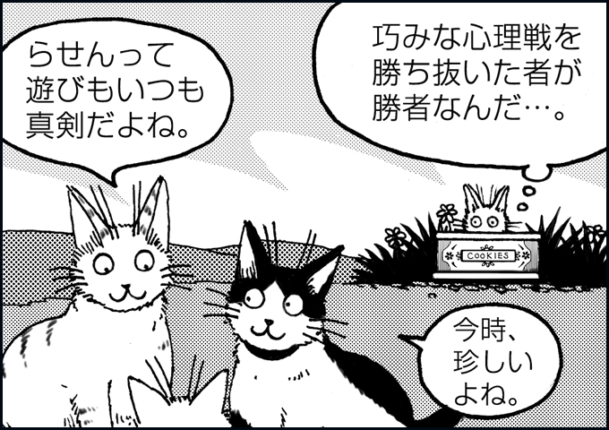 mono_16_03.jpg